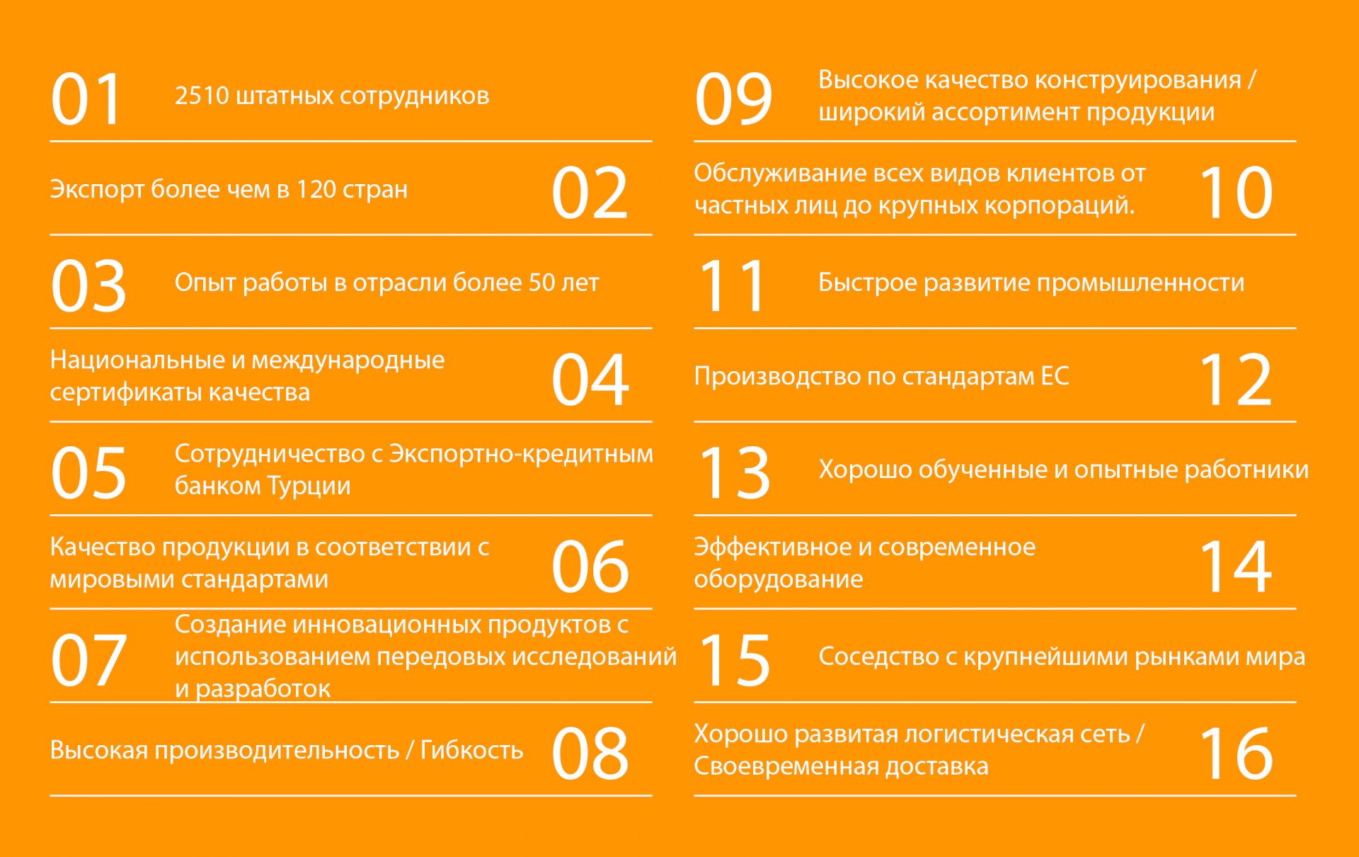 Факты о команде TEM